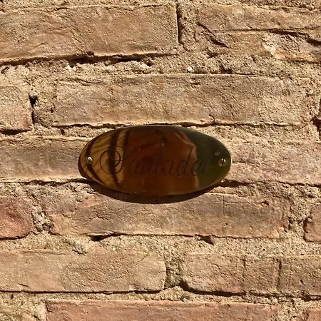 A L Aube Du Midi