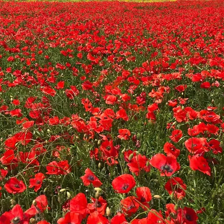 A L Aube Du Midi Apartmán Bagnols-sur-Cèze