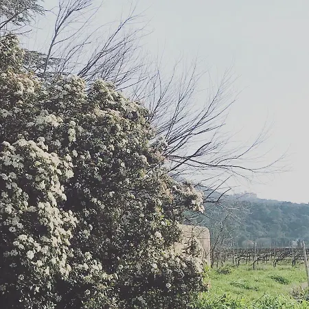 A L Aube Du Midi Apartmán