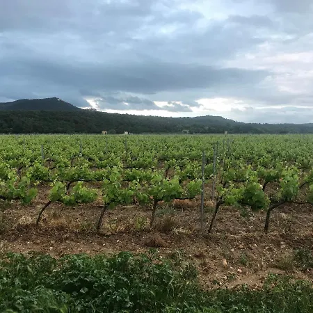 A L Aube Du Midi *