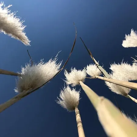 A L Aube Du Midi * Bagnols-sur-Cèze