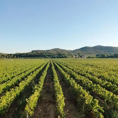 A L Aube Du Midi Bagnols-sur-Cèze