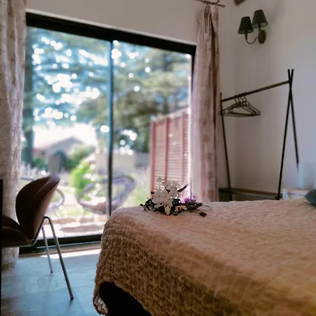 Appartement A L Aube Du Midi