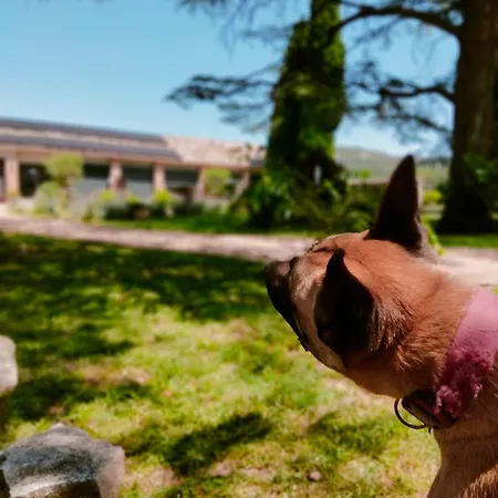 Apartmán A L Aube Du Midi *