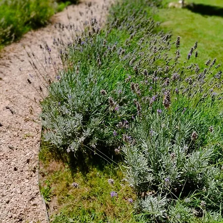 A L Aube Du Midi Lägenhet