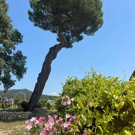 A L Aube Du Midi Bagnols-sur-Cèze